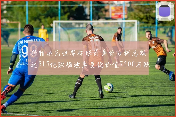 科特迪瓦世界杯球员身价分析总额达515亿欧扬迪奥曼德价值7500万欧