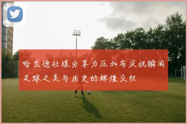 哈兰德社媒分享力压加布庆祝瞬间足球之美与历史的辉煌交织