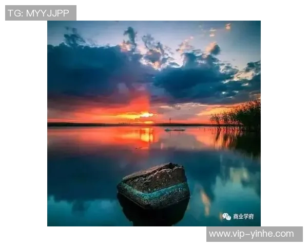 苏东对徐彬留洋的看法:希望的种子与巨大的挑战并存,先做好再追求完美 苏东对徐彬留洋的看法:希望的种子与巨大的挑战并存,先做好再追求完美